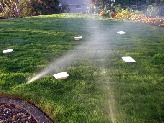 How to Calibrate a Sprinkler Syste