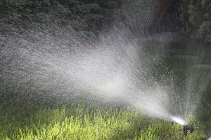 Soft water vs. hard water for irrigation